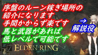 [序盤のレベル上げ場所]簡単にルーン稼ぎ[エルデンリング]