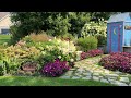 Hydrangeas and the Different Stages - Which Ones Make Good Cut Flowers