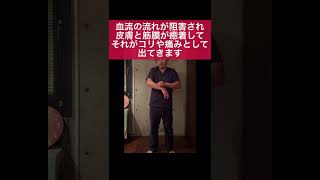 【筋膜はがし】腕のこり、張りから来る肩こりはまずコレ！#shorts