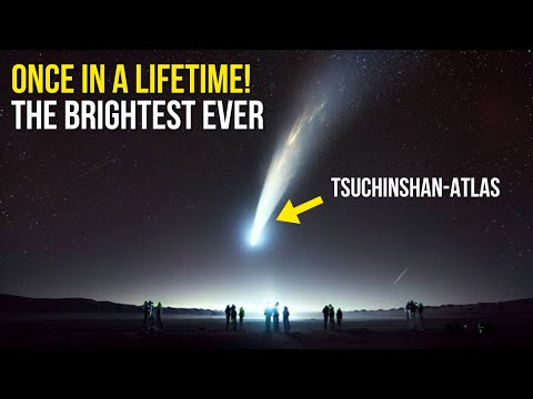 What can be found in the Oort Cloud?