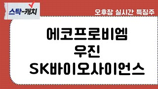 원전 세일즈 기대감, 우진 / 에코프로비엠 / SK바이오사이언스 / 오후장 실시간 특징주! [스탁-캐치]