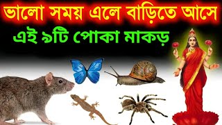 ঘরে ৯ টি পোকা আসা অনেক শুভ সাক্ষাৎ মা লক্ষ্মী আসেন | হয় বাড়িতে আর্থিক উন্নতি | spiritualraju