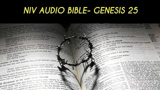 GENESIS 25 NIV AUDIO BIBLE (with text)