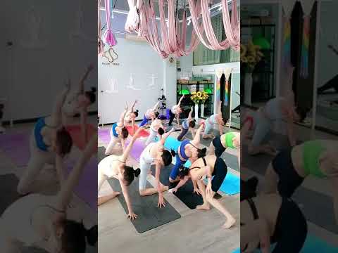 Yoga Fitness Shorts Youtube