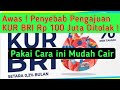 Banyak yang belum tahu ! Penyebab Pengajuan KUR BRI Rp 100 juta di Tolak ! Pakai Cara ini Agar Cair