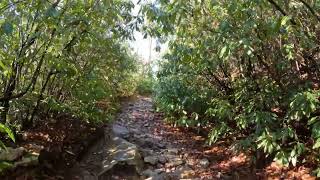 The Channels, Clinch Mountain VA. 2023 First Day Hike.