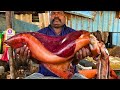 KASIMEDU 🔥 SPEED SELVAM | BIGG ORANGE SQUID 🦑 CUTTING VIDEO | IN KASIMEDU | FF CUTTING 🔪