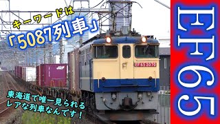 【大注目!!】 東海道を日中走る 「5087列車」 の魅力とは⁉ 【EF65！ロクゴー！】