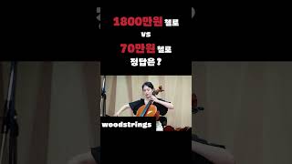 1800만원 수제첼로 vs 70만원 연습용첼로  정답 공개🎻