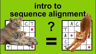 Sequence Alignment 1: The Dot-matrix method
