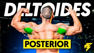 Los 5 MEJORES EJERCICIOS para DELTOIDES POSTERIOR (ranking)