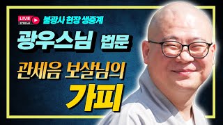 광우스님, 관세음 보살님의 가피를 받은 한 스님의 이야기