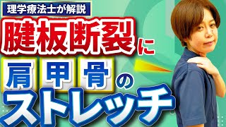 【腱板断裂】簡単な動きでも肩甲骨や肩周辺の筋肉を動かすだけで予防できる体操を理学療法士が説明します。