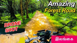 Vavuniya Tourist places 😮 | Wood Bridge | Sri Kannagai Amman Potkovil 🛕| #sltamilvlogs