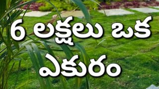 14 Acre #agriculture land for sale in telangana below *6 లక్షలు ఒక ఎకురం* #9533344166