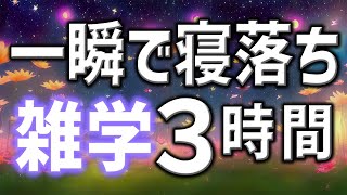 【眠れる男性AIの声】一瞬で寝落ち雑学朗読3時間【睡眠用・寝ながら聴ける】