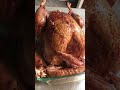 giant turkey lermsvlogs