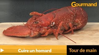 Comment cuire un homard ?