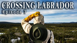 Boreal to Barrenlands - Crossing Labrador: Ep.7 - Unknown Worlds