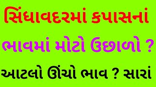 સિંધાવદર ગામમાં સારા કપાસના ભાવમાં મોટો ઉછાળો ગામડે બેઠા આજે જોવાં મળ્યો ? KAPAS NA BHAV. cotton.