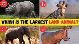 🧠 How Good Is Your Knowledge of ANIMALS? 🦁🐘✅ 15 Animals Knowledge Trivia Quiz