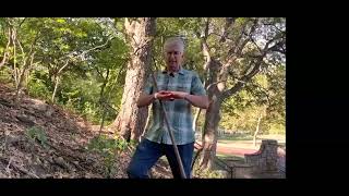 Deep Roots | Lunch and Learn: Roanoke Park Conservancy | October 2023