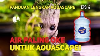 Siklus Nitrogen Aquascape (Nitrogen Cycle) - Episode 6 Part 1