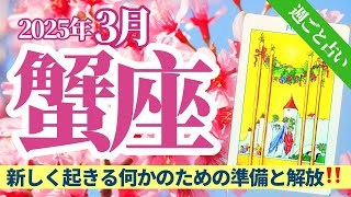 【蟹座3月】大きな変化を経験するあなたに、弱さの解放をやってみてとのメッセージ❤️✨🔮🧚タロット\u0026オラクル《週ごと》