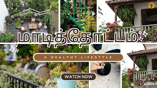 எளிதாக மாடித்தோட்டம் அமைப்பது எப்படி? | Maadithottam | Terrace Gardening Tips in Tamil |