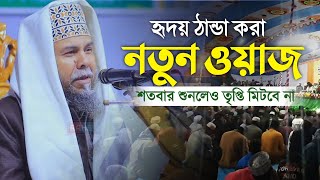 হৃদয় ঠান্ডা করা নতুন ওয়াজ | Principal Hafizur Rahman | প্রিন্সিপাল মাওলানা হাফিজুর রহমান | New Waz