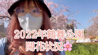 【Vlog】2022年4月5日の鶴舞公園の桜開花状況🌸【鶴舞・大須旅】