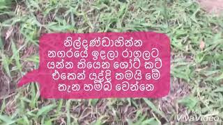 පුංචි ලෝකාන්තය - වලපනේ / නිල්දණ්ඩාහින්න