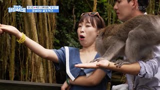 원숭이 엉덩이를 눈앞에 두고 사진을 찍게 된 오나미??  [걸어서 환장 속으로] | KBS 230305 방송