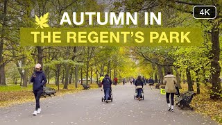 Autumn in Regents Park | Relaxing London Walking Tours