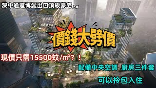 中山樓盤丨新天地【上集】丨位于深中通道出入口，三分鐘就可以去到丨價錢大劈價，現只需15500蚊/㎡丨備配中央空調和廚房三件套丨商業生活配套齊全丨#新天地