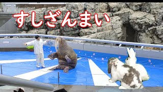 【こころ恋愛物語】１３話　水族館デート　～感動のサプライズ～