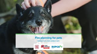 Fire planning for pets