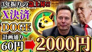 【X決済/DOGE】イーロンのDOGE爆上げ計画が遂に遂行!! トランプ当選は想定内!! #dogecoin #ドージ