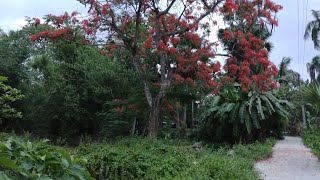 experience of witnessing the first Kalbaisakhi storm of 2023 in West Bengal, India