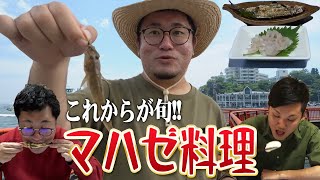 【今から旬】ハゼの美味しい食べ方はこれだ！！〜アナハゼティ流マハゼ料理〜