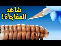 انظروا ماذا وجدت في الداخل .. سبحان الله!!؟