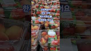 신비복숭아_신비복숭아는 백도와천도를 같이 먹을수 있는신품종 신비의맛이래요