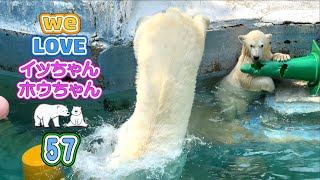 【イッちゃんホウちゃん  57】オカンが空から降ってくる！第3弾！コーンで遊んでいたら空からオカンが降ってきた。でもさすがはホウちゃん、驚くどころかオカンを追いかけぶっ飛んで行きました。