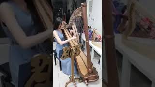 #豎琴 #harp 因為愛情 怡帆老師演奏40弦豎琴#療癒的豎琴曲集 #流行歌曲 #celtic