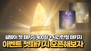 [오딘] 이벤트 펫 패키지 400장 오픈해보자!