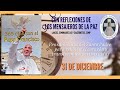 365 DIAS CON EL PAPA FRANCISCO -31 DE DICIEMBRE (P. Gustavo Jamut, OMV)