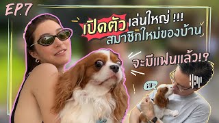 EP. 7  ร้านลับๆ ของมิว นิษฐา !! และเปิดตัวสมาชิกใหม่ของ MewNittha Channel