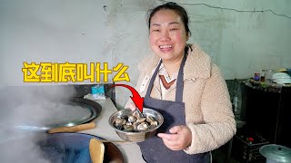 花30元買海鮮，結果為一個名字，和老公爭吵起來 | I bought seashells! Cooked salty rice with the shells! It was delicious!