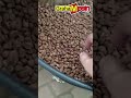 Produsen Mesin Roasting Kopi Lokal Kapasitas 5 Kg | Jual Mesin Sangrai Kopi Otomatis Graha Mesin.