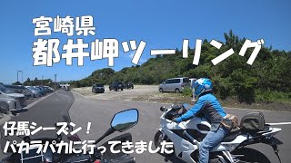 宮崎県都井岬ツーリング！仔馬を見にパカラパカまで【VFR800F＋VFR800X】